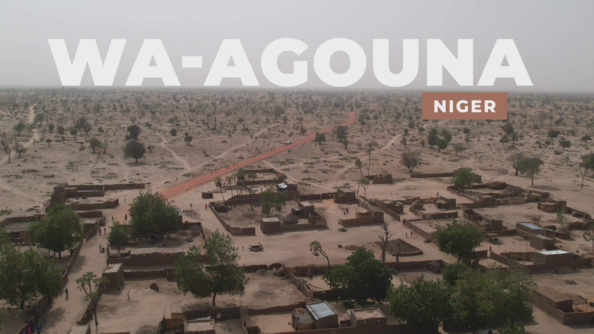 Bai'at Stories | Wa Agouna - Niger | Jalsa Salana UK 2022