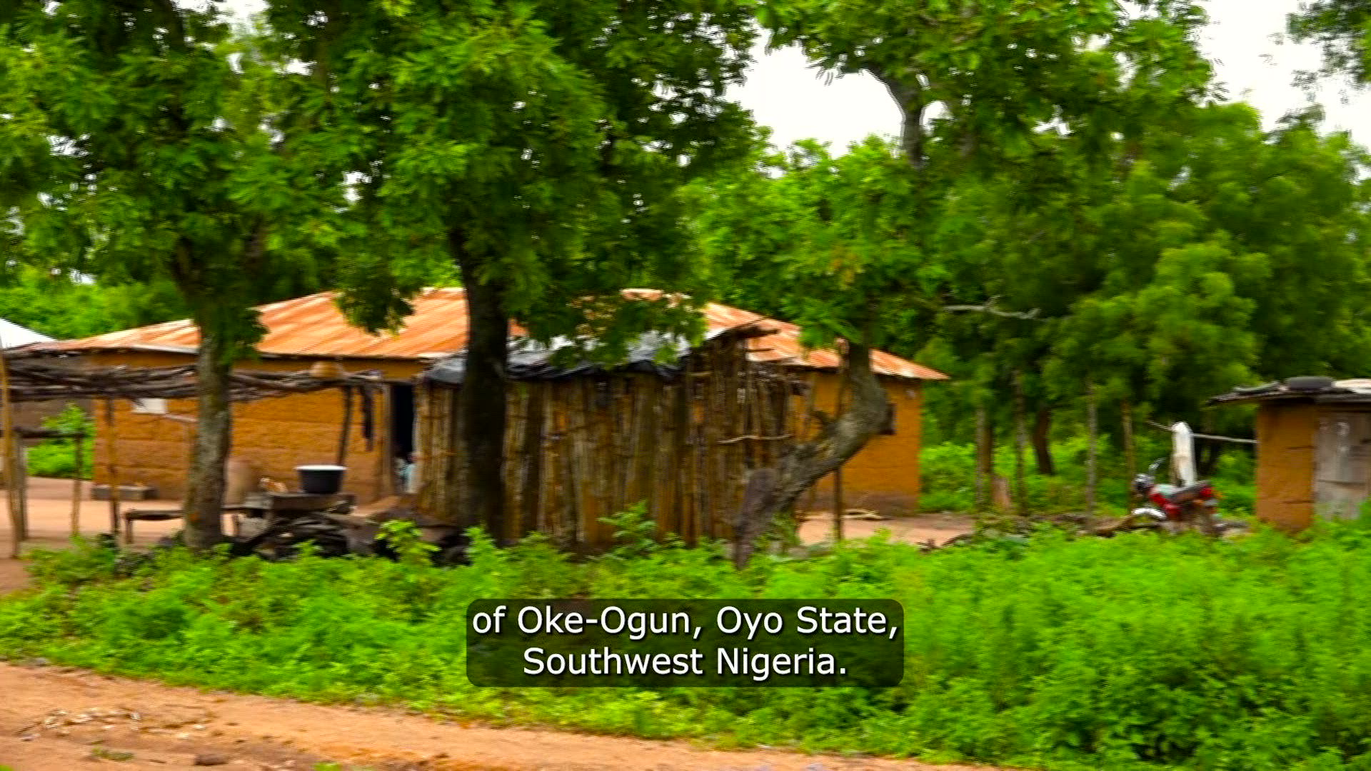 The Story Of Okooko Village - Nigeria - Documentary (English)