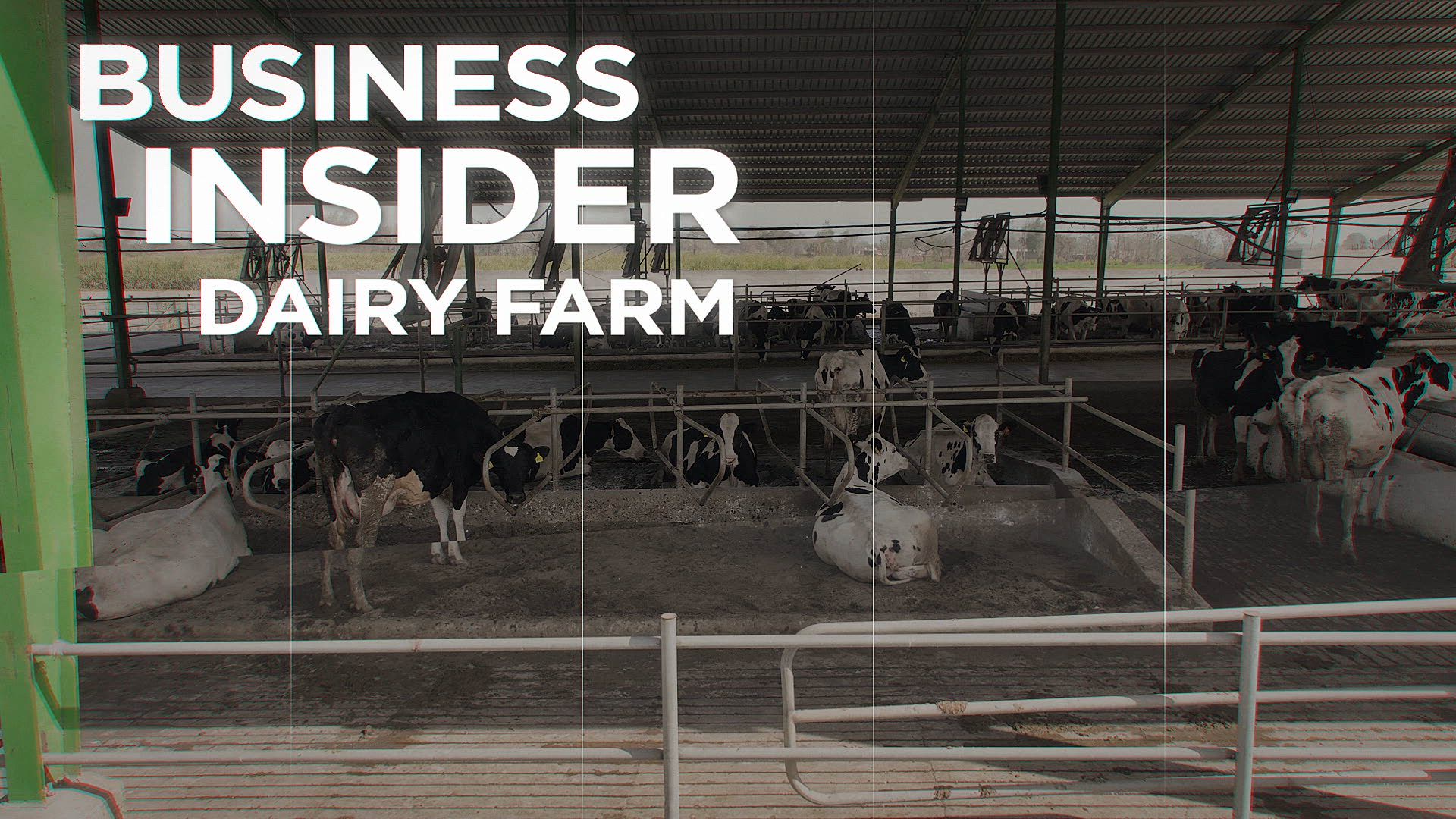 Business Insider