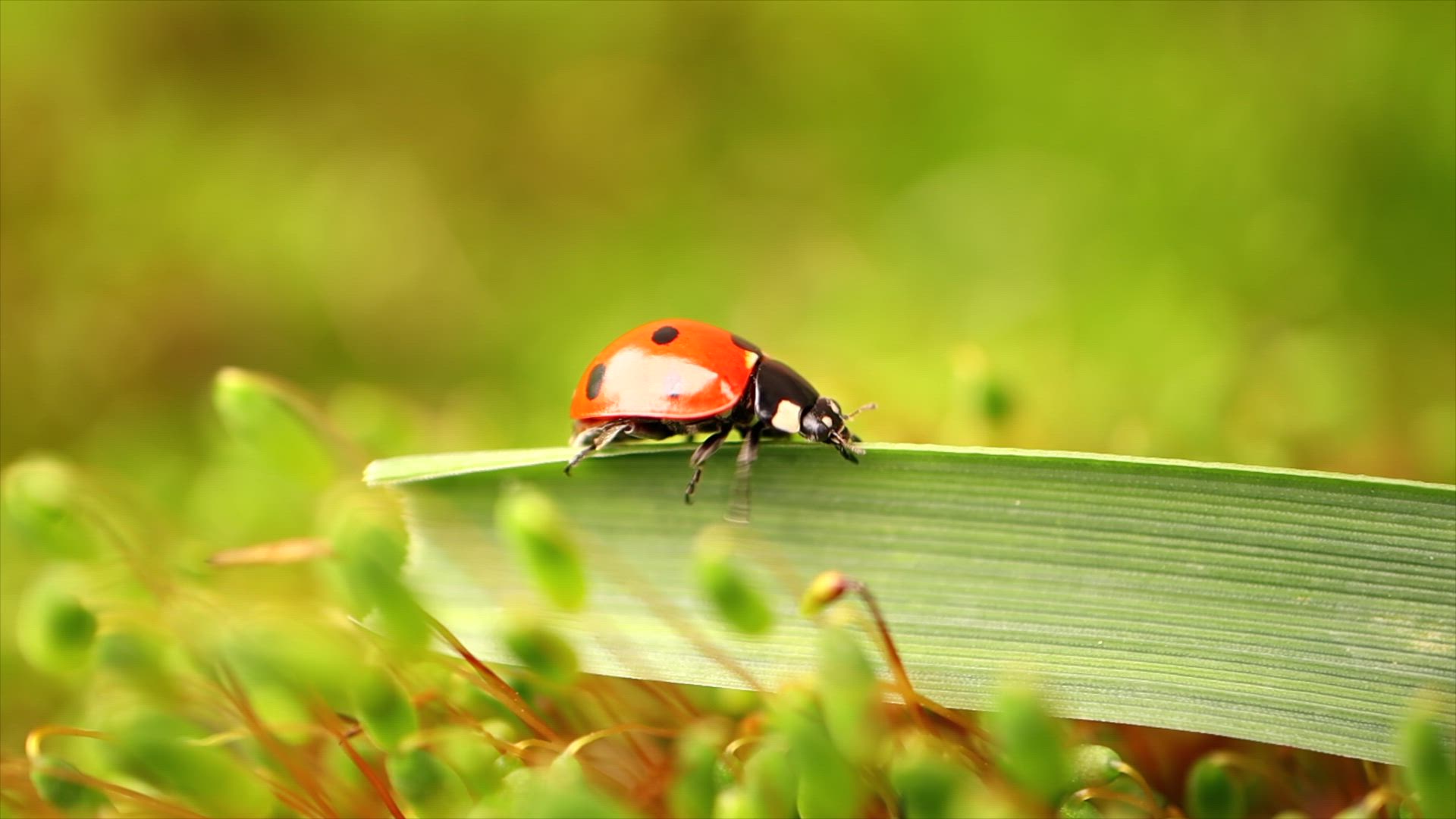 Inspirational Talk (Sharing the Experiences)