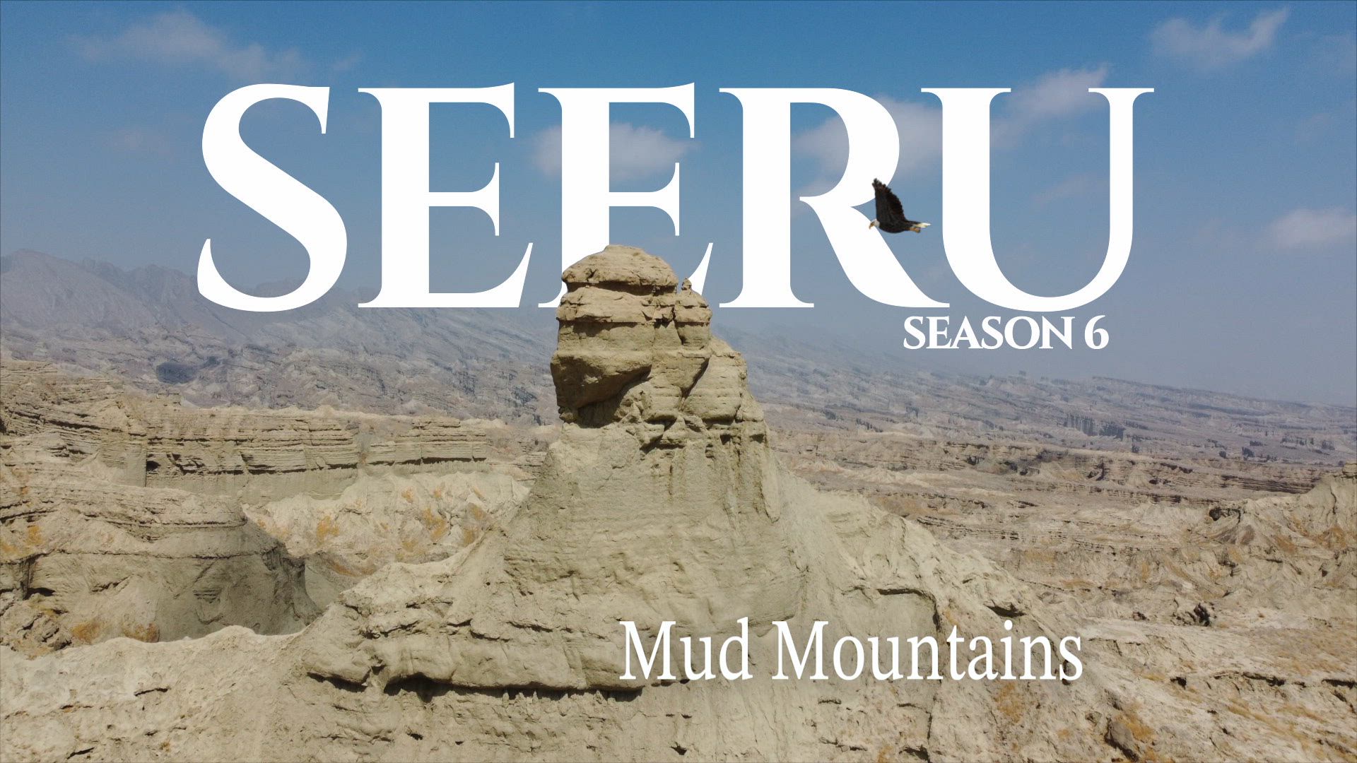 Seeru V-Log