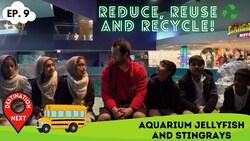 Destination Next | Episode 9 | Aquarium Jellyfish and Stingrays